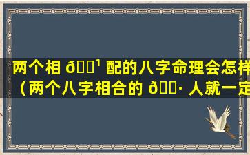 两个相 🌹 配的八字命理会怎样（两个八字相合的 🌷 人就一定旺对方吗）